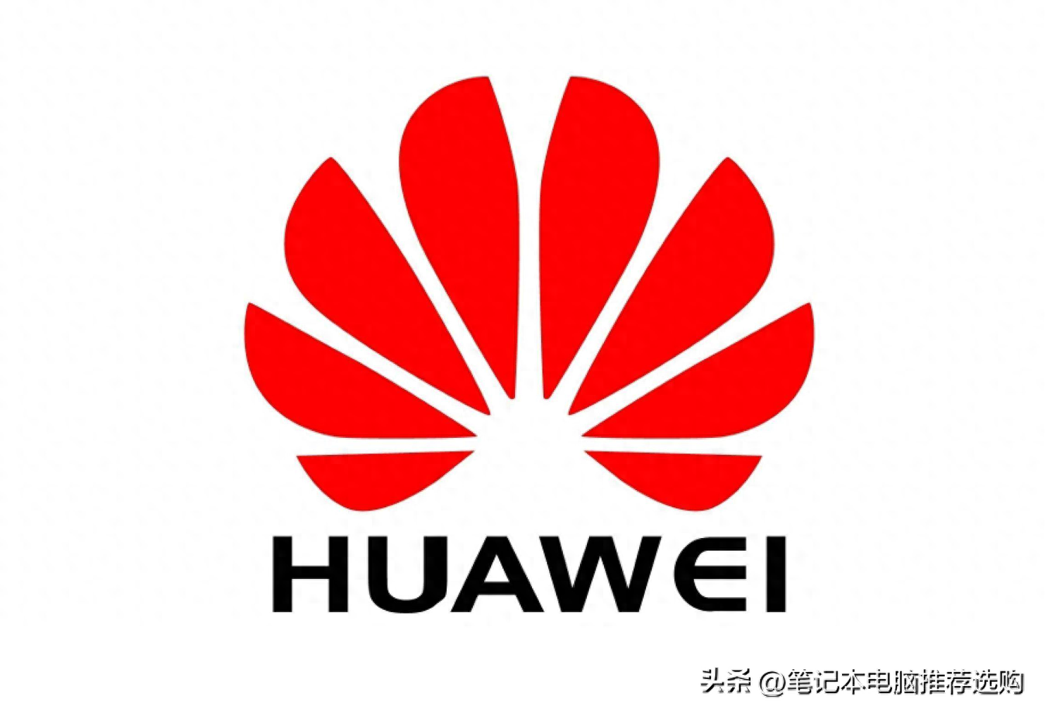 口碑最好的笔记本电脑排行榜