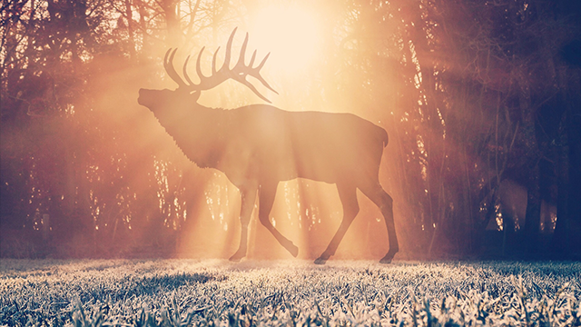 换座位的“换”居然不是change！那应该怎么说？