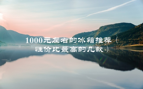 1000元左右的冰箱推荐（性价比最高的几款）