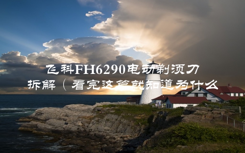 飞科FH6290电动剃须刀拆解（看完这篇就知道为什么它这么好用了）