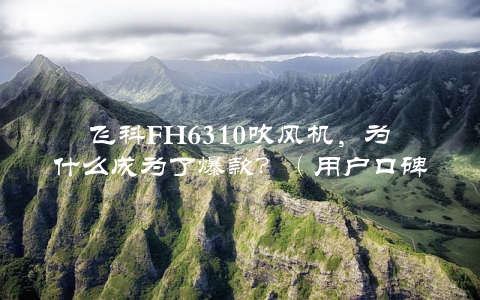 飞科FH6310吹风机，为什么成为了爆款？（用户口碑和专业评测都这么说）