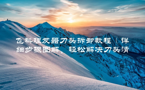 飞科理发器刀头拆卸教程（详细步骤图解，轻松解决刀头清洁问题）