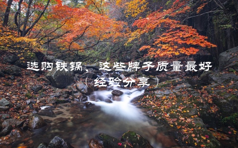 选购铁锅，这些牌子质量最好（经验分享）