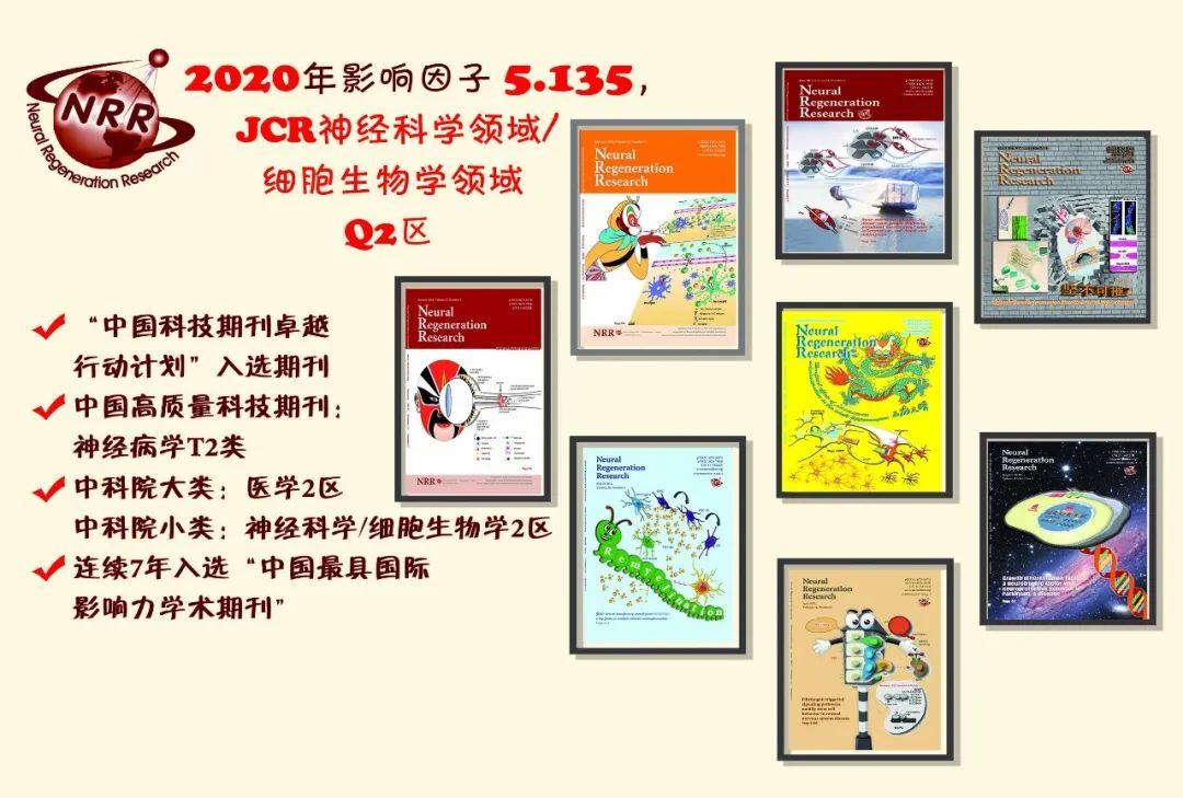 审稿人意见解析：“讨论（Discussion）”的意义在于解释你的结果意味着什么