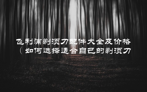 飞利浦剃须刀配件大全及价格（如何选择适合自己的剃须刀配件）