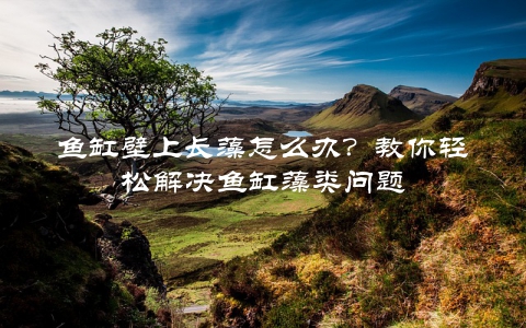 鱼缸壁上长藻怎么办？教你轻松解决鱼缸藻类问题