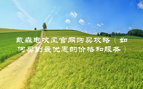 戴森电吹风官网购买攻略（如何买到最优惠的价格和服务）