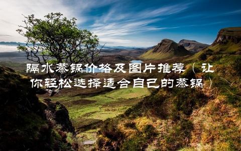 隔水蒸锅价格及图片推荐（让你轻松选择适合自己的蒸锅）