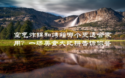 空气炸锅和烤箱哪个更适合家用？一场美食大比拼告诉你答案