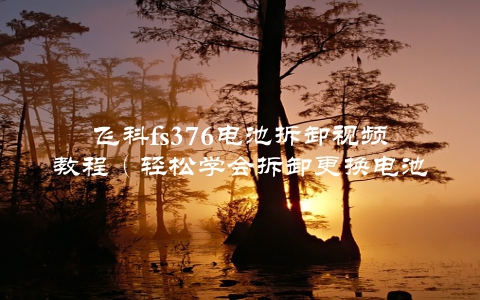 飞科fs376电池拆卸视频教程（轻松学会拆卸更换电池）