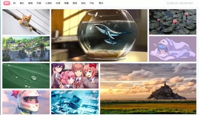 小鸟壁纸怎么免费用动态壁纸（四季动态壁纸鸟巢中文版下载）