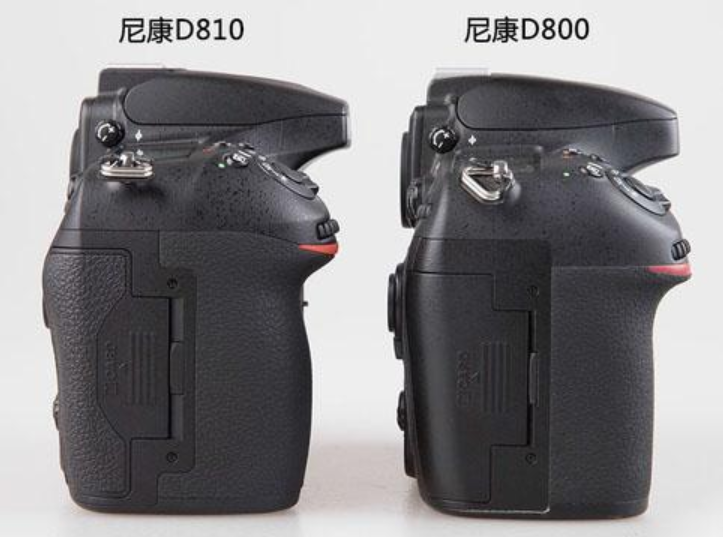 尼康d800和d810的区别