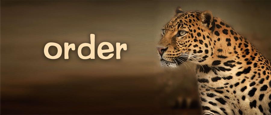 每日一词 | order 详解