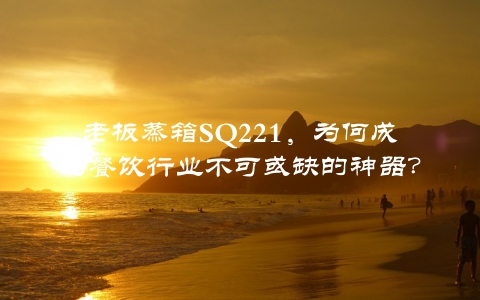 老板蒸箱SQ221，为何成为餐饮行业不可或缺的神器？