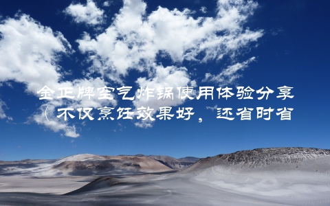 金正牌空气炸锅使用体验分享（不仅烹饪效果好，还省时省力）