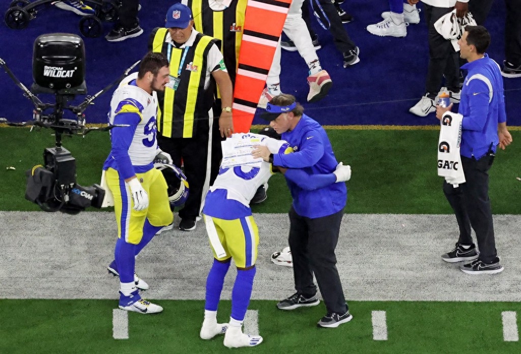 球迷错把“bowl”打成“owl”,猫头鹰成了美国“超级碗”潮梗