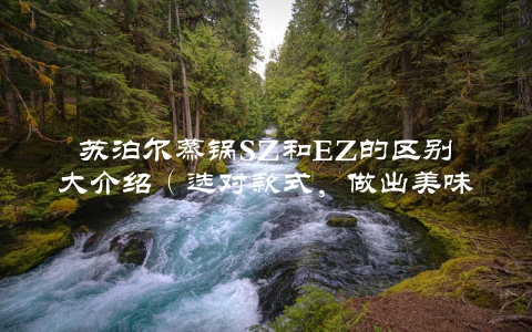 苏泊尔蒸锅SZ和EZ的区别大介绍（选对款式，做出美味更轻松）
