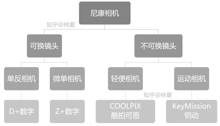 从型号了解一台相机·尼康篇 | 2022新版