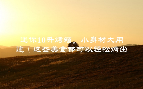 迷你10升烤箱，小身材大用途（这些美食都可以轻松烤出）