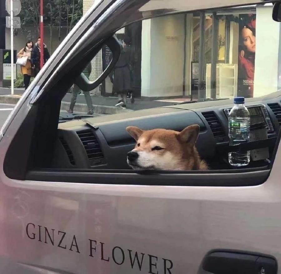 准备放弃一个人的情绪文案