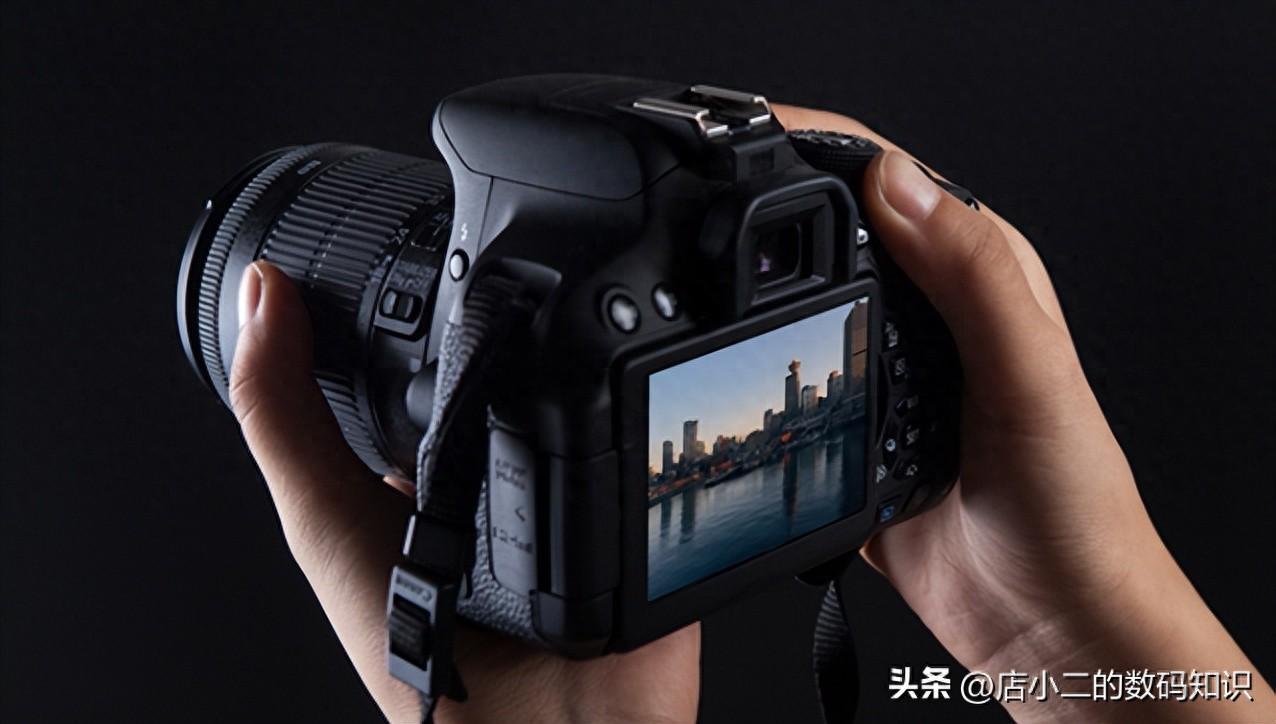 单反相机是什么意思,它跟手机拍照有什么区别吗?