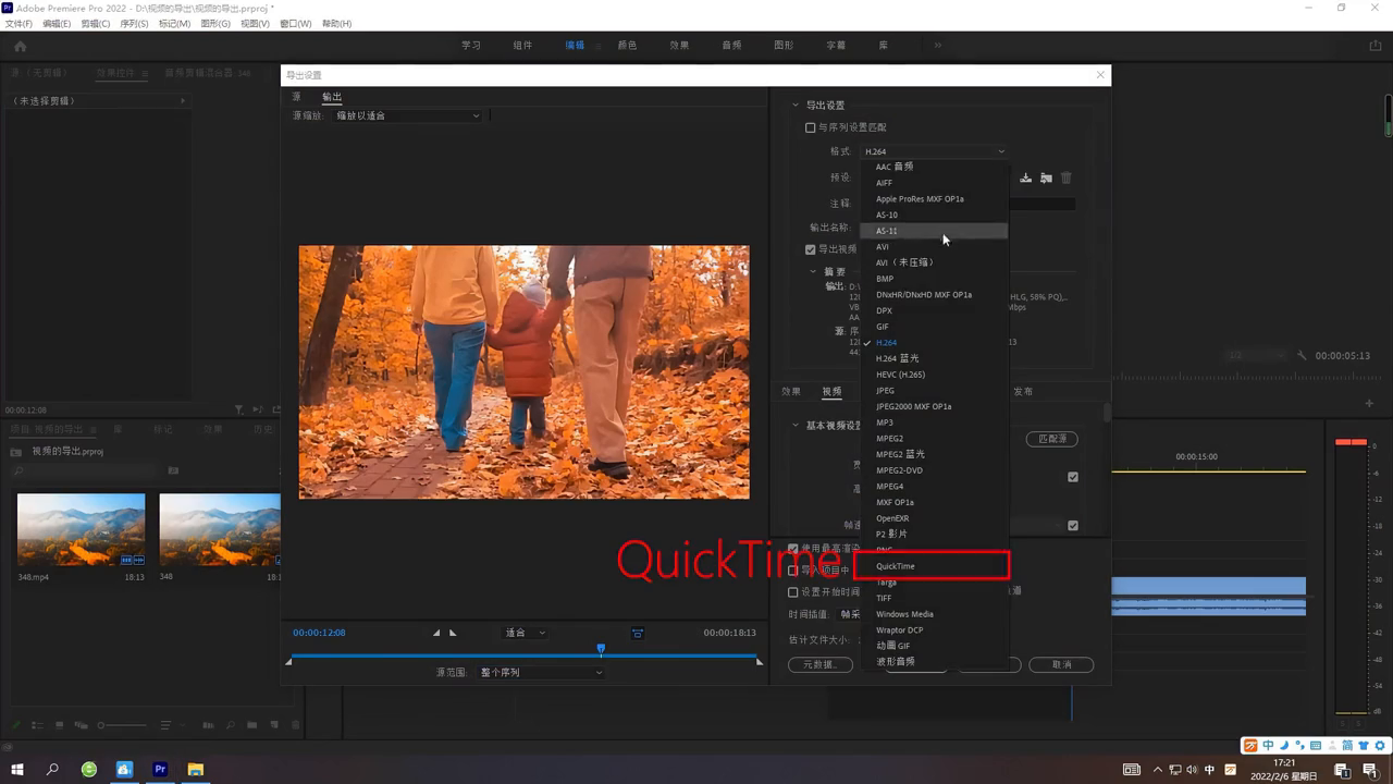 苹果系统最常用的格式——MP4格式