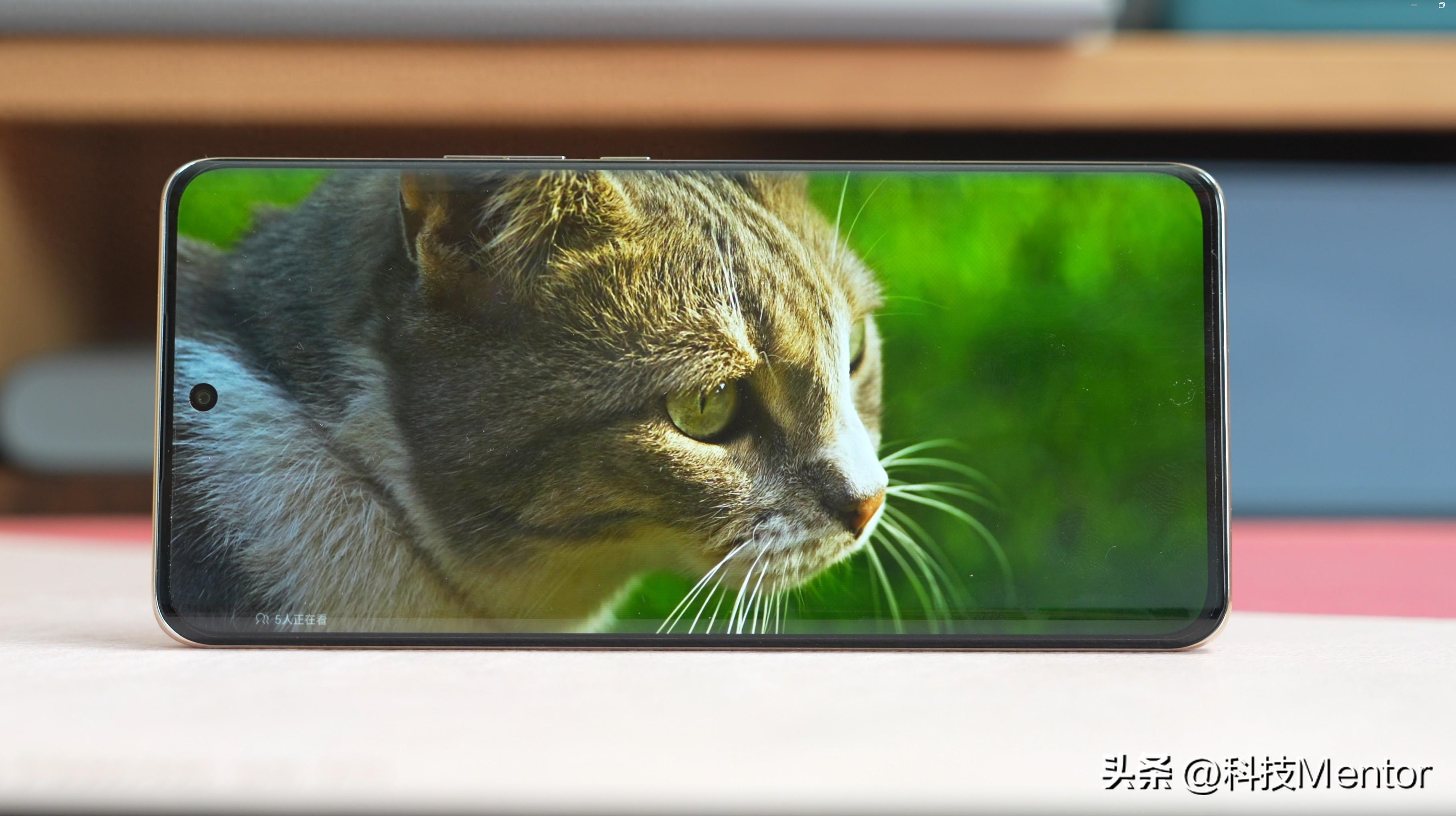 1500元封顶，这三款手机值得买，买贵不如买对