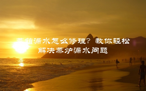 蒸箱漏水怎么修理？教你轻松解决蒸炉漏水问题