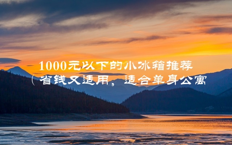 1000元以下的小冰箱推荐（省钱又适用，适合单身公寓）