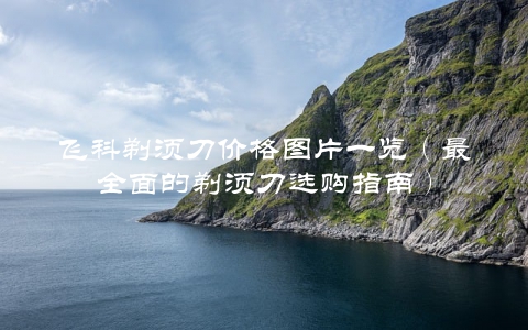飞科剃须刀价格图片一览（最全面的剃须刀选购指南）