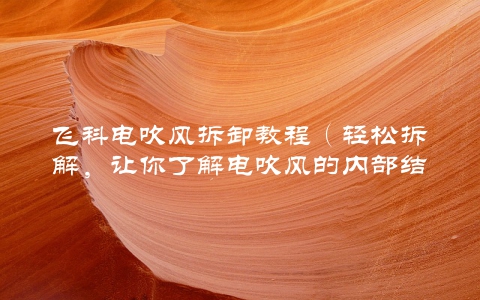 飞科电吹风拆卸教程（轻松拆解，让你了解电吹风的内部结构）