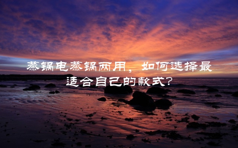 蒸锅电蒸锅两用，如何选择最适合自己的款式？