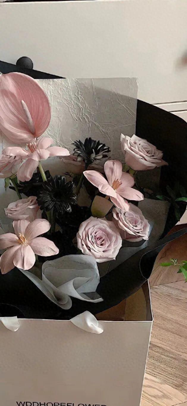 手机壁纸 | 好看的壁纸手机专属图片