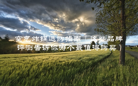 空气炸锅选购指南（这些品牌评测告诉你哪个最值得购买）