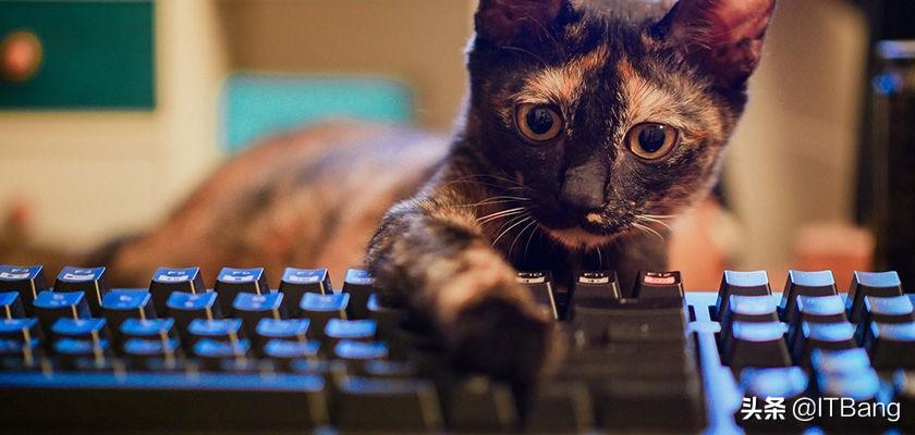 Windows 键盘 F1~F12 功能键使用指南