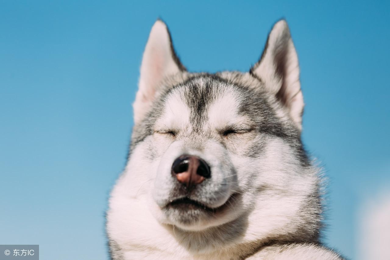 &quot;usually“和”often&quot;到底有什么差别？