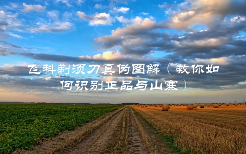 飞科剃须刀真伪图解（教你如何识别正品与山寨）