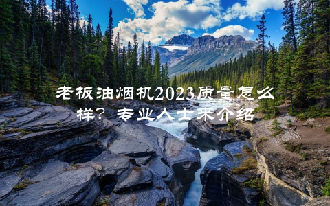 老板油烟机2023质量怎么样？专业人士来介绍