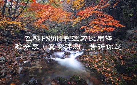 飞科FS901剃须刀使用体验分享（真实评测，告诉你是否值得购买）