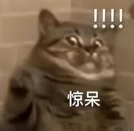 一键生成你想要的一切!GPT-4接入微软Office,不用熬夜掉发了!