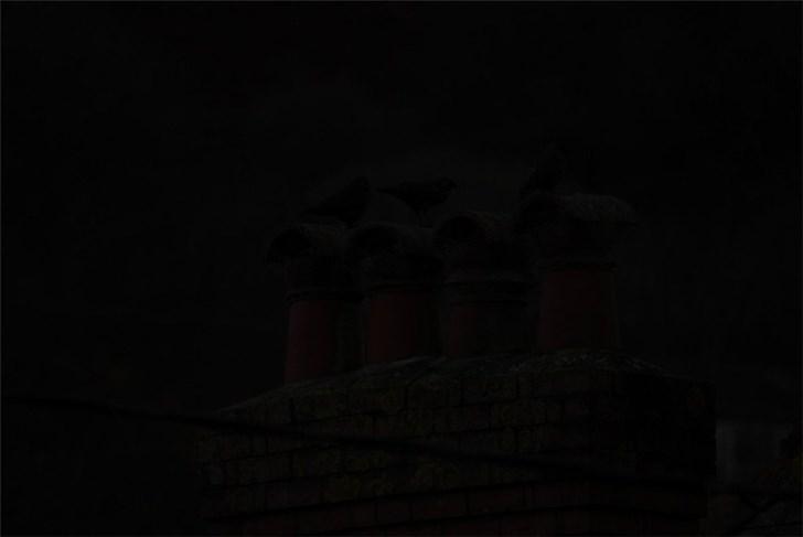 用14年历史的尼康D200拍摄照片