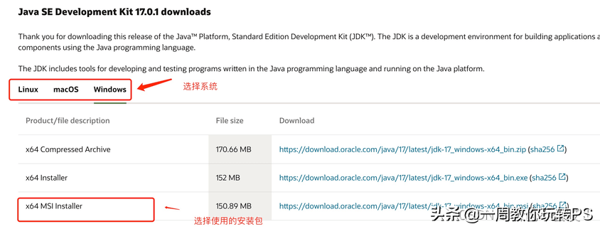 java环境变量设置（检查java环境变量配置）