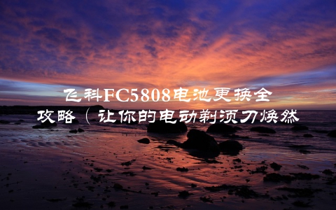 飞科FC5808电池更换全攻略（让你的电动剃须刀焕然一新）