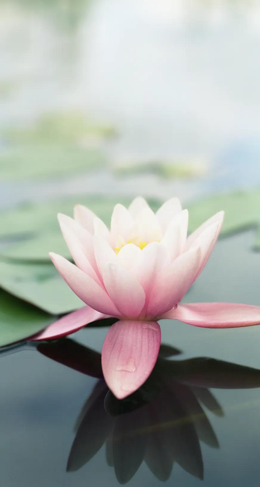 当年火爆全球iphone4的 ios6自带壁纸