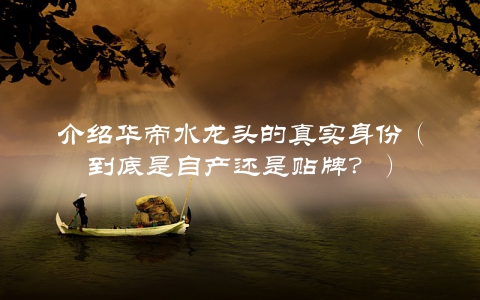 介绍华帝水龙头的真实身份（到底是自产还是贴牌？）