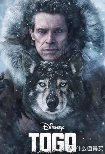 2020年1月4K 电影精选—雪橇犬穿越暴风雪、福特法拉利巅峰对决