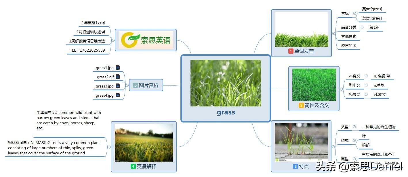 索思英语解码单词（第205个）——grass草