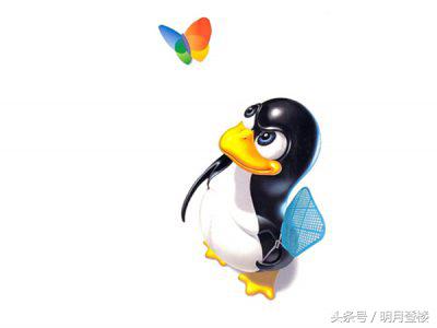 深度（Deepin）Linux 体验感受总结