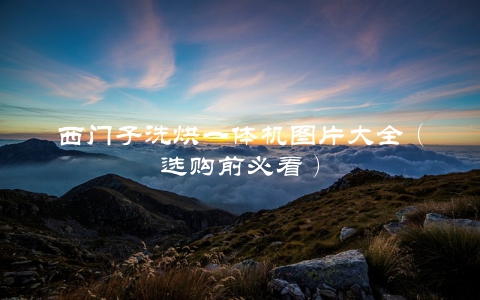 西门子洗烘一体机图片大全（选购前必看）
