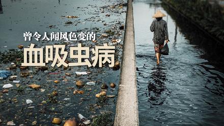 「海上记忆」血吸虫病，曾令上海人闻风色变